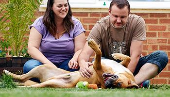 A couple playing with their newly rehomed dog in the garden