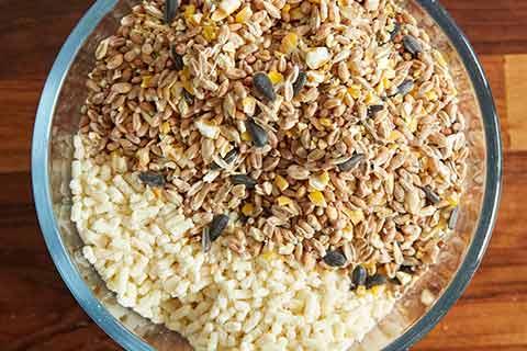 Bowl of dry ingredients to used to make fat balls for birds.