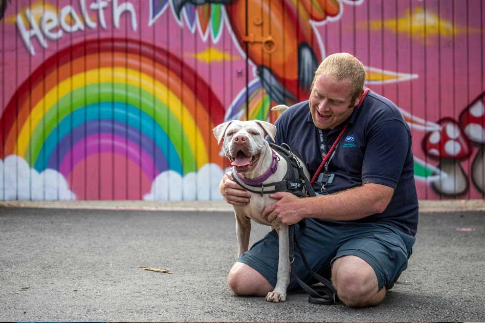 8-year-old long-stay Boo with Animal Care assistant Keeran Cadman at Birmingham animal centre.