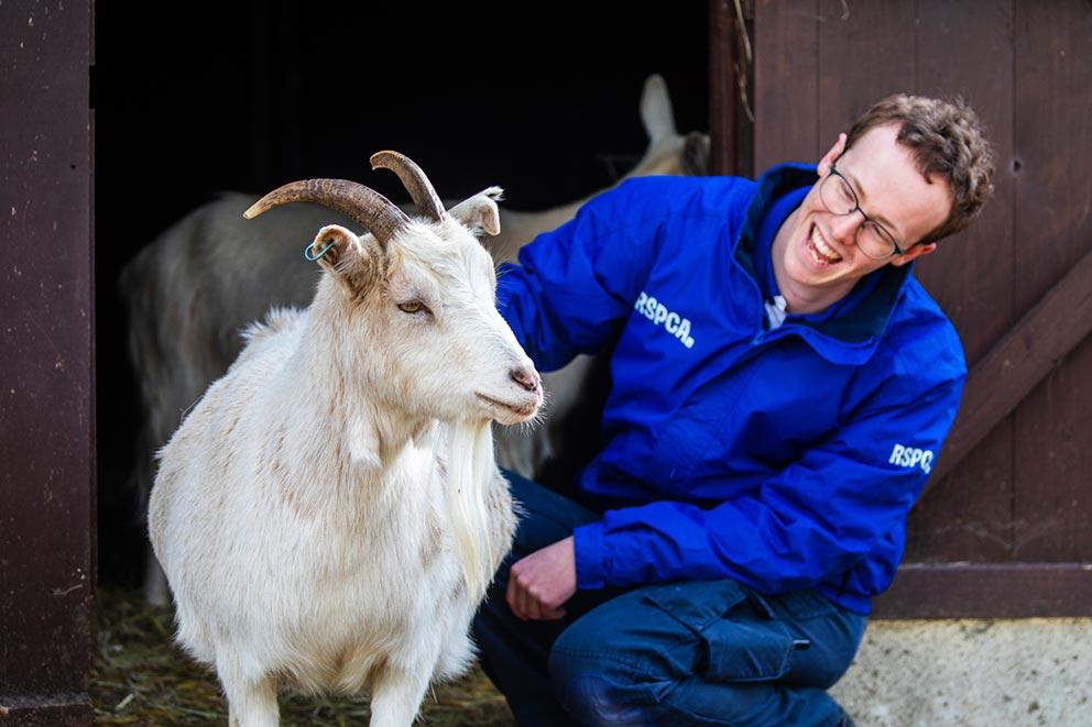 RSPCA worker smiles as he pets rescued goat