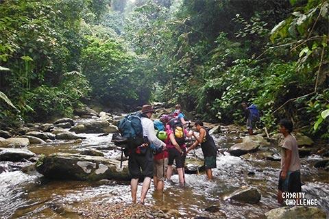 Trekkers wearing backpacks walking through the Sumatran jungle.