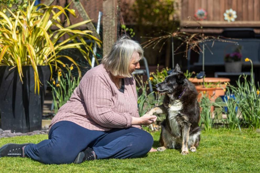 Whitney, a black and white collie cross dog, gives paw to her new owner Eve, sitting next to her on the grass.