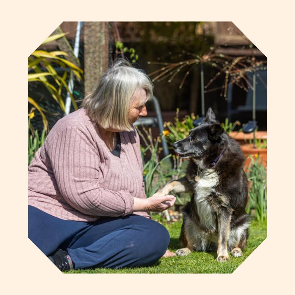 Whitney, a black and white collie cross dog, gives paw to her new owner Eve, sitting next to her on the grass.